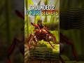 7 Secrets Grounded 2 Does NOT Tell You
