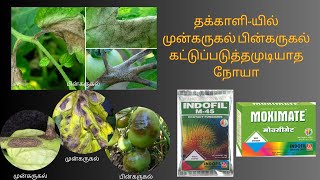 #தக்காளி-யில் #முன்கருகல் #earlyblight #பின்கருகல் #lateblight கட்டுப்படுத்தமுடியாத நோயா #indofil