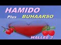 BEST OROMO MUSIC MIX #02 *HAMIDO MAHAMMAD|| & 2 BUARSO