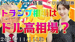 【FXマーケット情報】トランプ相場はドル高相場？経済指標の重要性が増す事態★2024年11月11日の分かり易いドル円予想