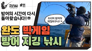 [빅게임]#11 방어의 시즌이 돌아왔습니다! 완도에 방어들이 어디에 있을까요?!