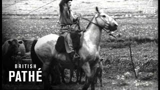 Horse Round Up In Argentine (1970)