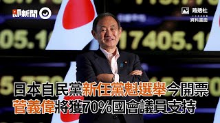 日本自民黨新任黨魁選舉14日開票，菅義偉將獲70％國會議員支持｜國家｜投票｜首相｜看新聞