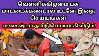 வெள்ளிக்கிழமை பசுவைக்கண்டால் உடனே இதை செய்யுங்கள் பணகஷ்டம் தவிடுபொடி ஆகிவிடும்!