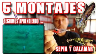 5 MONTAJES CLAVES PESCA DE LOS CALAMARES Y SEPIAS DESDE ORILLA Y EMBARCACIÓN PASO A PASO (EXPLICADO)