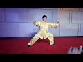 王海軍 • master wang hai jun 陳式太極拳 chen style taichi chuan