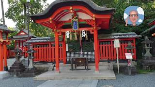 Fushimi Inari Shrine Thousands of Torii