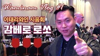 [와미남 Vlog] #1 와인의 천국에 가다! 특급호텔에서 열리는 업계관계자들만 알던 와인의 세계 — 이태리 와인 시음회 감베로 로쏘