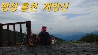 평창 홍천 계방산 43  (운두령휴게소 - 쉼터 - 전망대 - 정상 - 원점회귀)