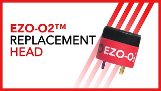 EZO-O2™ Replacement Head | Atlas Scientific