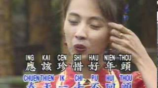 优必胜 卡拉OK (U-BEST Karaoke) 万年红 (LD版) (粤语：富贵花开万年红)