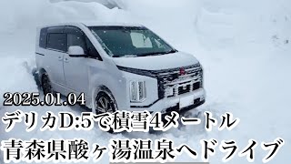 デリカD:5 積雪4メートルの酸ヶ湯温泉へ愛知県からドライブ行ってきた‼︎【ゆかりん＆きんちゃん】