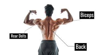My PULL Workout Explained: Back, Biceps, Rear Delts & Forearms • Legs/Push/Pull Series Ep.3