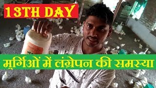 13वे   दिन की पूरी जानकारी ! poultry training ! poultry farming |