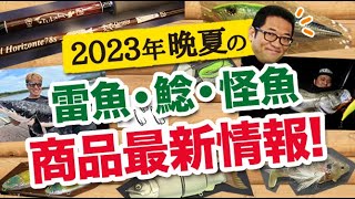 2023晩夏の雷魚・ナマズ・怪魚 商品最新情報！