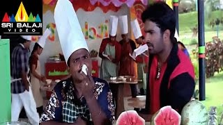 Pallakilo Pellikuthuru Movie Sunil and Venumadhav Comedy | Gowtam, Rathi | Sri Balaji Video