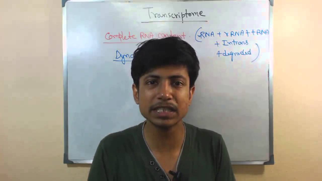 Transcriptome And Transcriptomics Youtube
