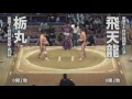 2015年九州場所5日目 栃丸 飛天龍