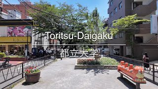 [4K] Toritsu-Daigaku 都立大学 [Tokyo 東京] [Walk 散歩] #1011