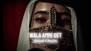 Wala Amri Get (Slowed & Reverb) | New Arabic Song | Arabic Remix 2024 | Dr Reverb