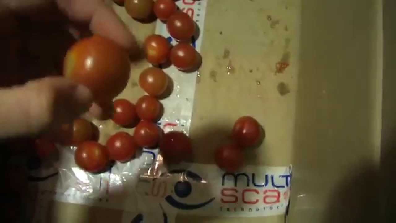 Multiscan S30 Tg Youtube