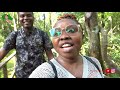 how is climbing the longest canopy walkway in africa like lekkicanopywalkway