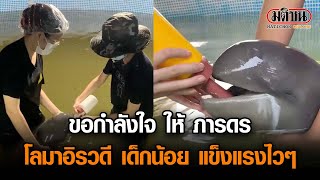 ขอกำลังใจให้ภารดร โลมาอิรวดีเด็กน้อย ให้แข็งแรงไวๆ: Matichon Online