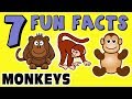 7 FUN FACTS ABOUT MONKEYS! MONKEY FACTS FOR KIDS! Learning Colors! Gorillas! Funny! Sock Puppet!