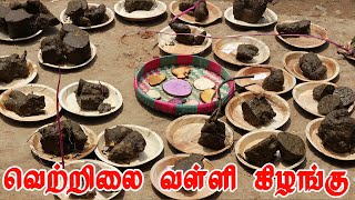 வெற்றிலை வள்ளி கிழங்கு வகைகள் | Types of Dioscorea alata | வேலூர் யுவராஜ்