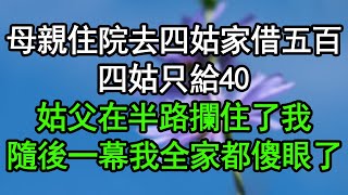 母親住院 去四姑家借五百，四姑只給40，姑父在半路攔住了我，隨後一幕 我全家都傻眼了#深夜淺讀 #為人處世 #生活經驗 #情感故事