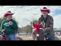 taking the horses to a christmas parade