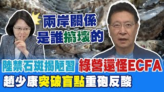 陸禁石斑民進黨還扯ECFA 趙少康反酸\