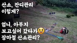 산소, 잔디관리 이렇게? / 엄니, 아부지 보고싶어 갔다가 산소, 예초작업 😃 / 장마철 산소관리