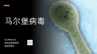 世界卫生组织通报“马尔堡病毒疫情”。这个病毒危险吗？