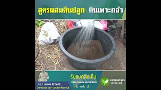 สูตรผสมดินเพาะกล้า อัตรารอด 100%