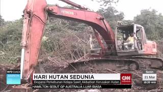 Hari Hutan Sedunia