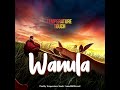 Wanula Official Audio - Temperature Touch             #music #paisayenyasathiupay #musicservice