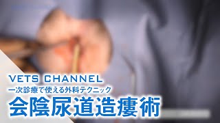 「会陰尿道造瘻術」をVETS CHANNELにて公開