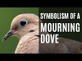 Symbolism of a Mourning Dove