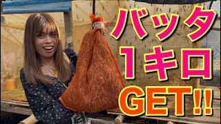 【国際結婚里帰り】カンボジアで大量のバッタをGET‼︎田舎の村に行ったらバッタを飼ってる家ばかりだったので話を聞いてみた