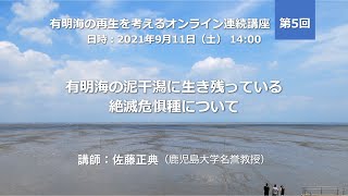 有明海の再生を考えるオンライン連続講座【第5回】有明海の泥干潟に生き残っている絶滅危惧種について