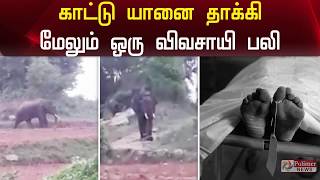 ஒற்றை காட்டு யானை தாக்கி மேலும் ஒரு விவசாயி பலி