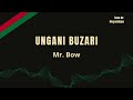Mr. Bow - Ungani Buzari (2013) | Sons de Moçambique