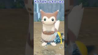 【ポケモンSV】オオタチ ポケモンウォッシュ【ピクニック演出】#shorts