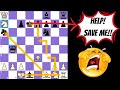 HALOSAR TRAP Variations | Ryder Gambit | Blackmar Diemer Gambit | Chess Trap for Black for Beginners