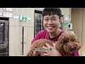 住院獸醫助理｜住院動物照護｜梅西動物醫療中心｜獸醫助理人生