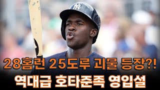 28홈런 25도루 괴물 등장?! 한화, 역대급 호타준족 외야수 영입설!