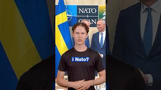 Är Sverige på väg in i Nato?