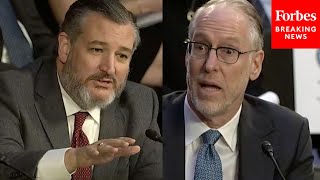 'So Are They Just Making It Up?': Ted Cruz Grills Senate Witness
