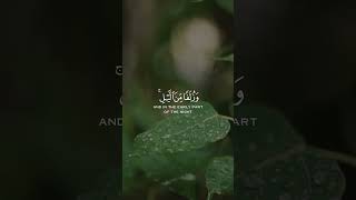 Surah Hud (114) - Relaxing Quran Recitation for Sleep and Study | Lofi Quran